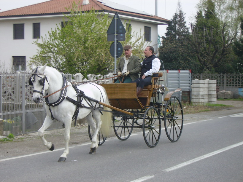 MANIFESTAZIONE A COGLIATE 2009